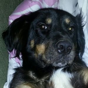 Meet your Posher, Curtis